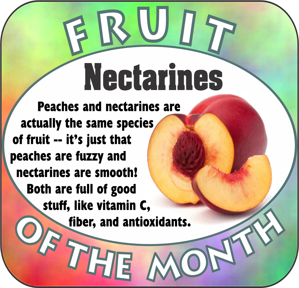 John Creative Services for Child Nutrition Professionals